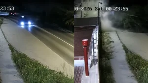 Árbol cayó sobre taxi en Villa Alemana y dejó a sus ocupantes con lesiones menores