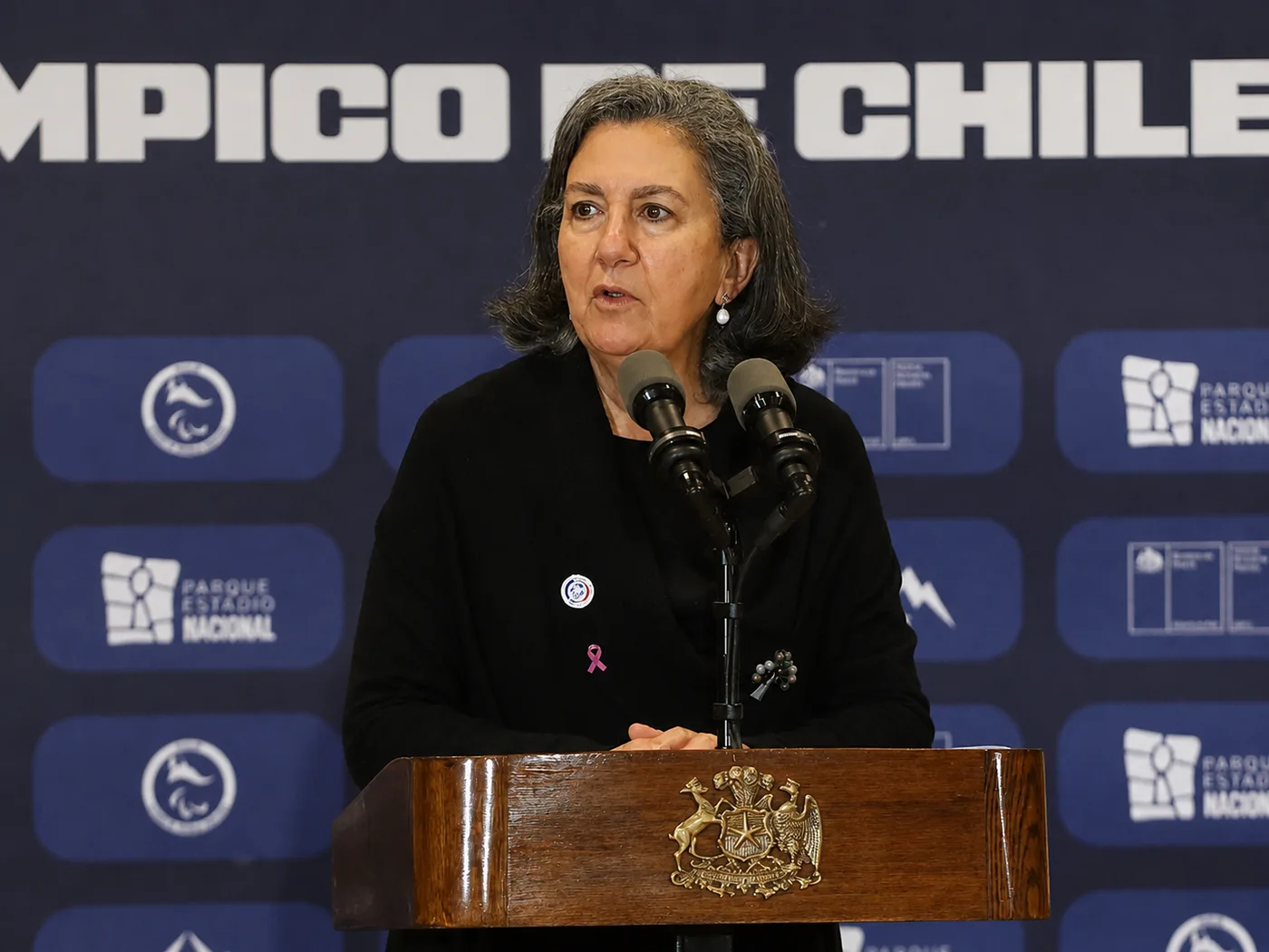 Chomalí asegura continuidad de tratamientos de la Ley Ricarte Soto pese a ajuste presupuestario