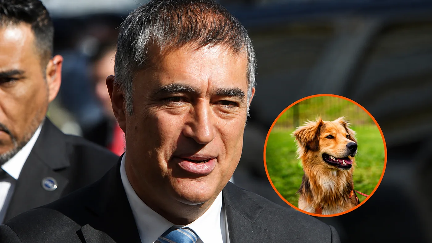 Desbordes defiende que Morocho se quede en la Municipalidad de Santiago ante críticas por su adopción