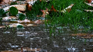 Las Condes ordena evacuar sectores de San Carlos de Apoquindo por riesgo de nuevos aluviones