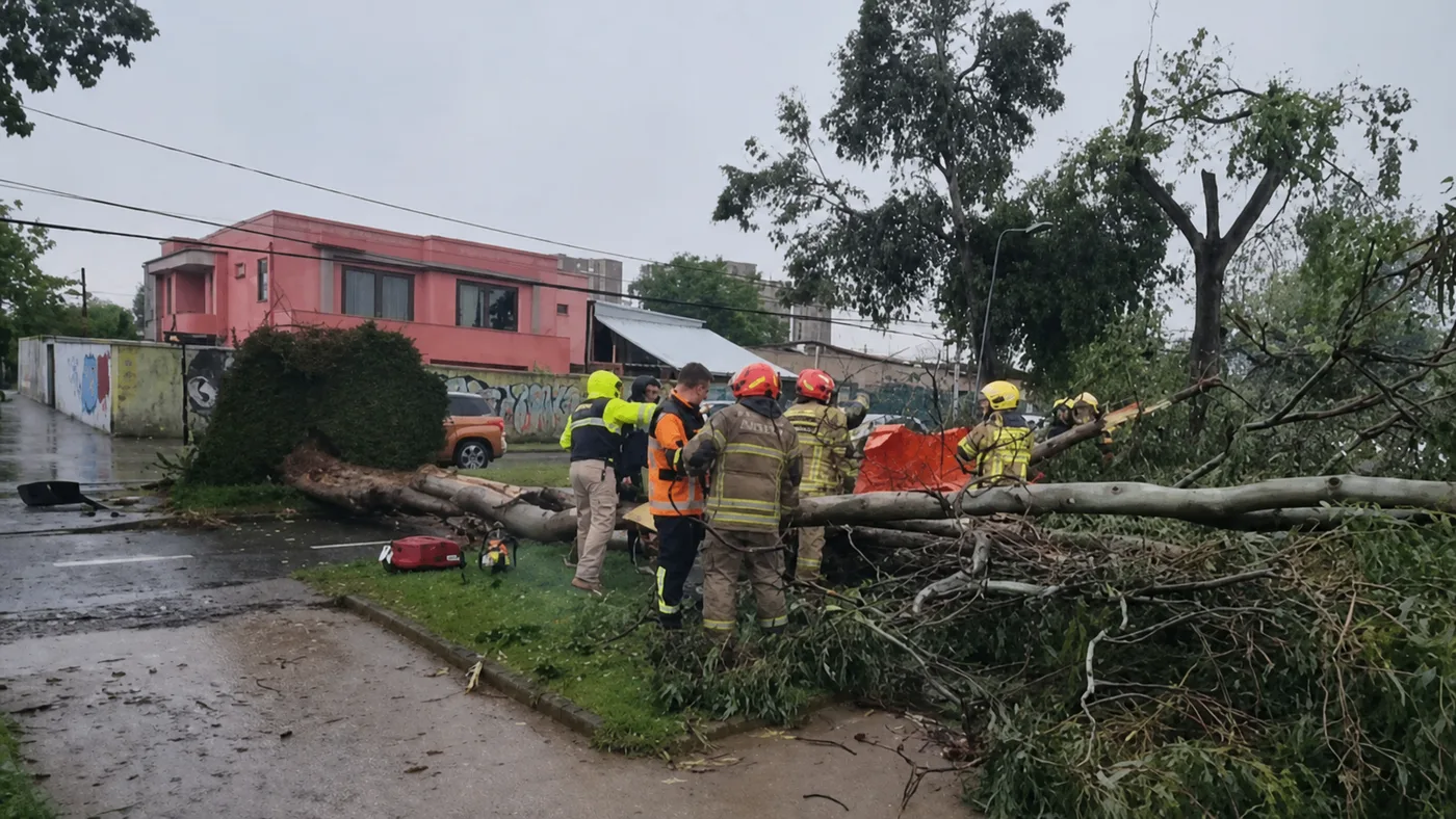 Mujer queda grave tras ser aplastada por un árbol durante tornado en Estación Central